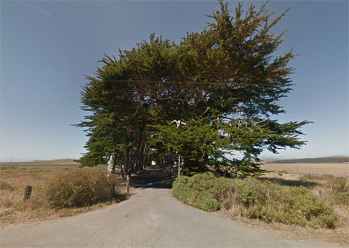 2015 - Cypress Tree Tunnel at Sir Francis Drake Blvd in Point Reyes Station, California USA