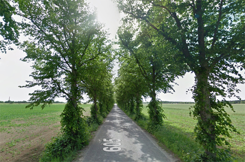 2017 - Road 605 to Roma kloster on Roma Kungsgård in Roma on Gotland (Google Streetview)