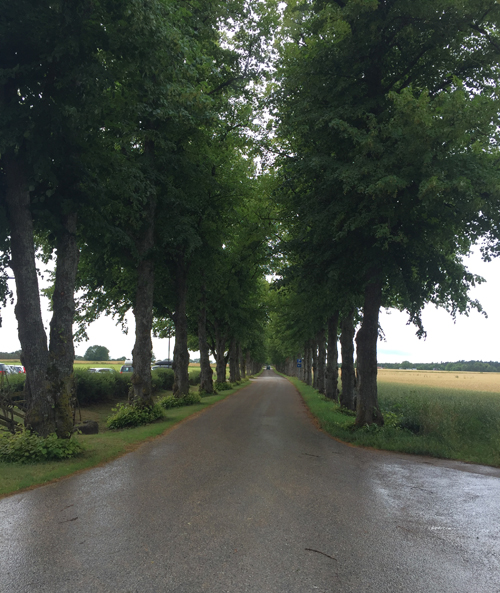 2016 - Road towards Roma kloster on Roma Kungsgård on Gotland (own photo during vacation 2016)